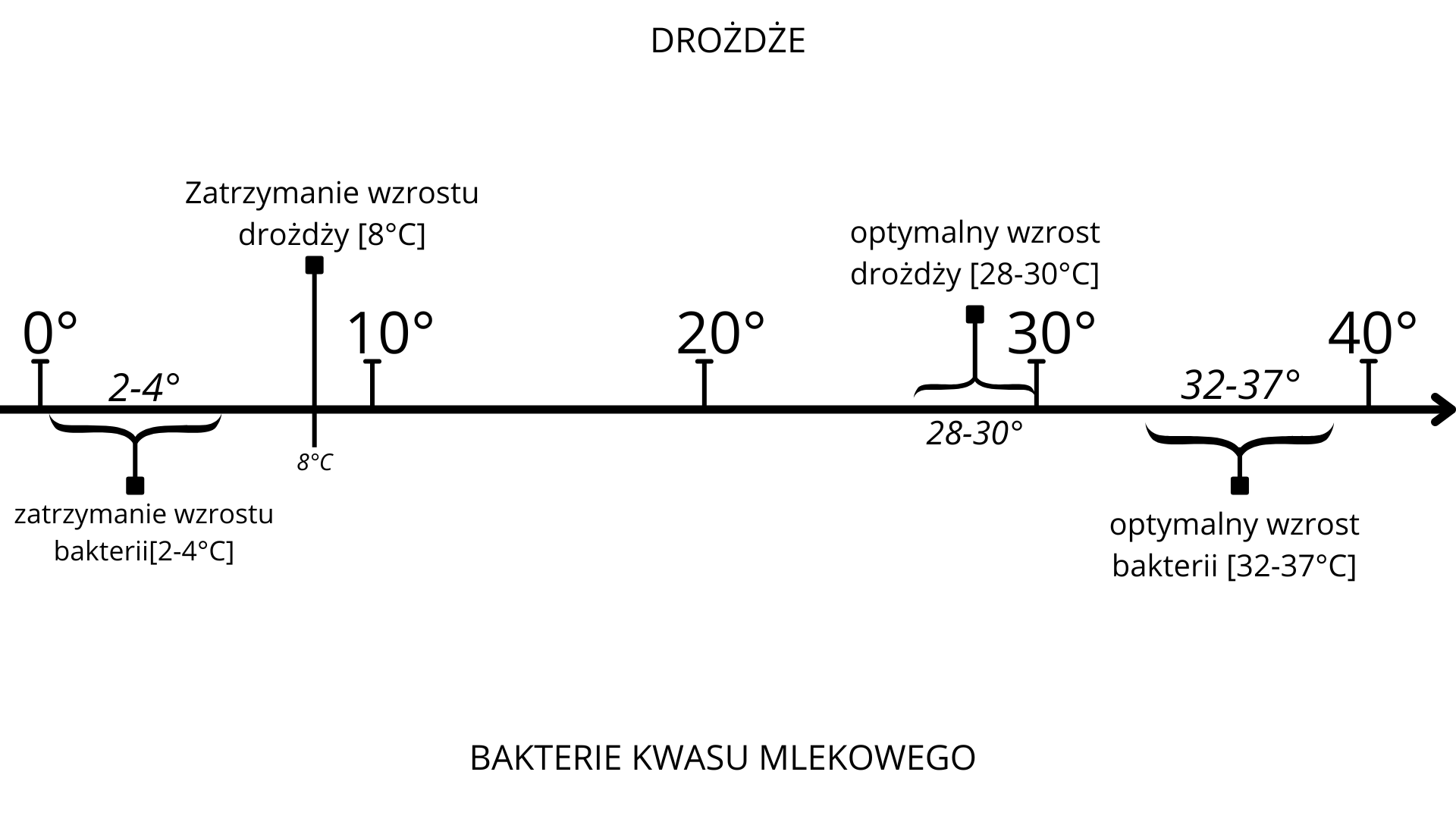 Jaka jest idealna temperatura dla zakwasu?