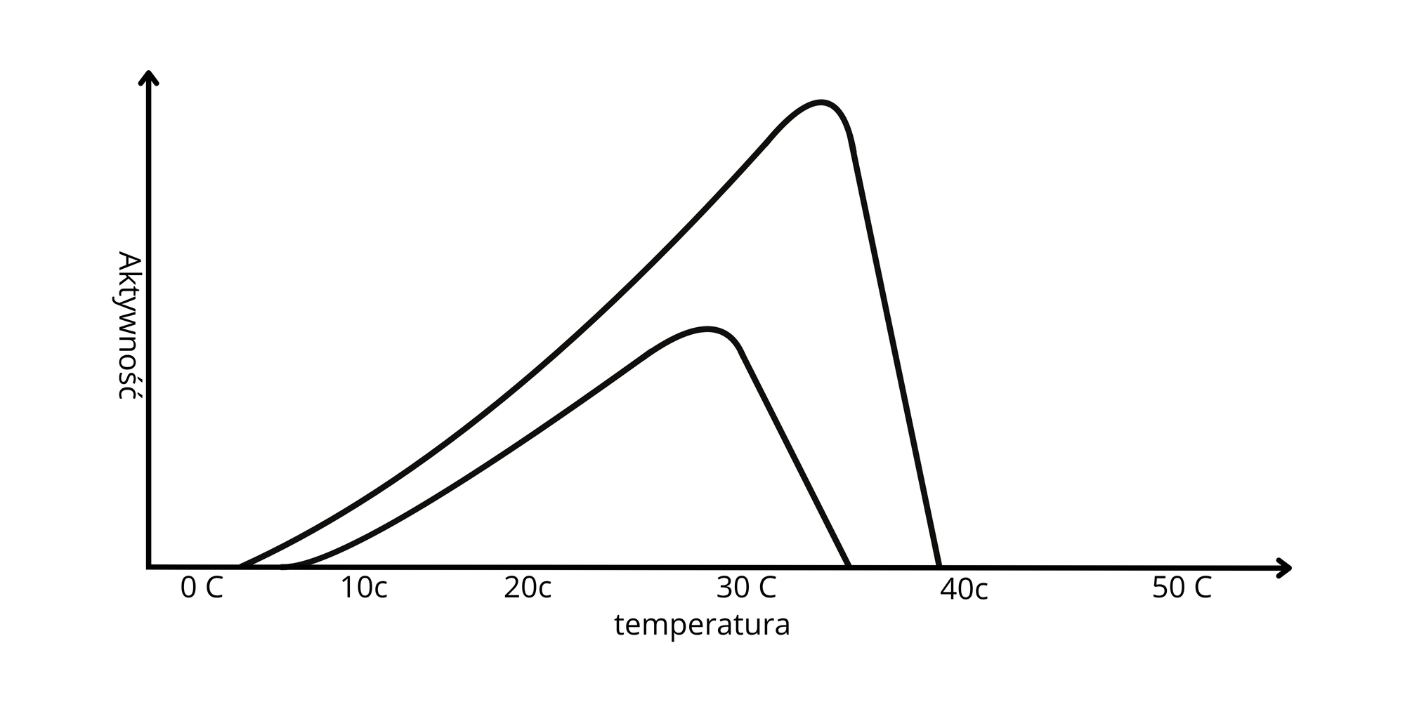 Jaka jest idealna temperatura dla zakwasu?