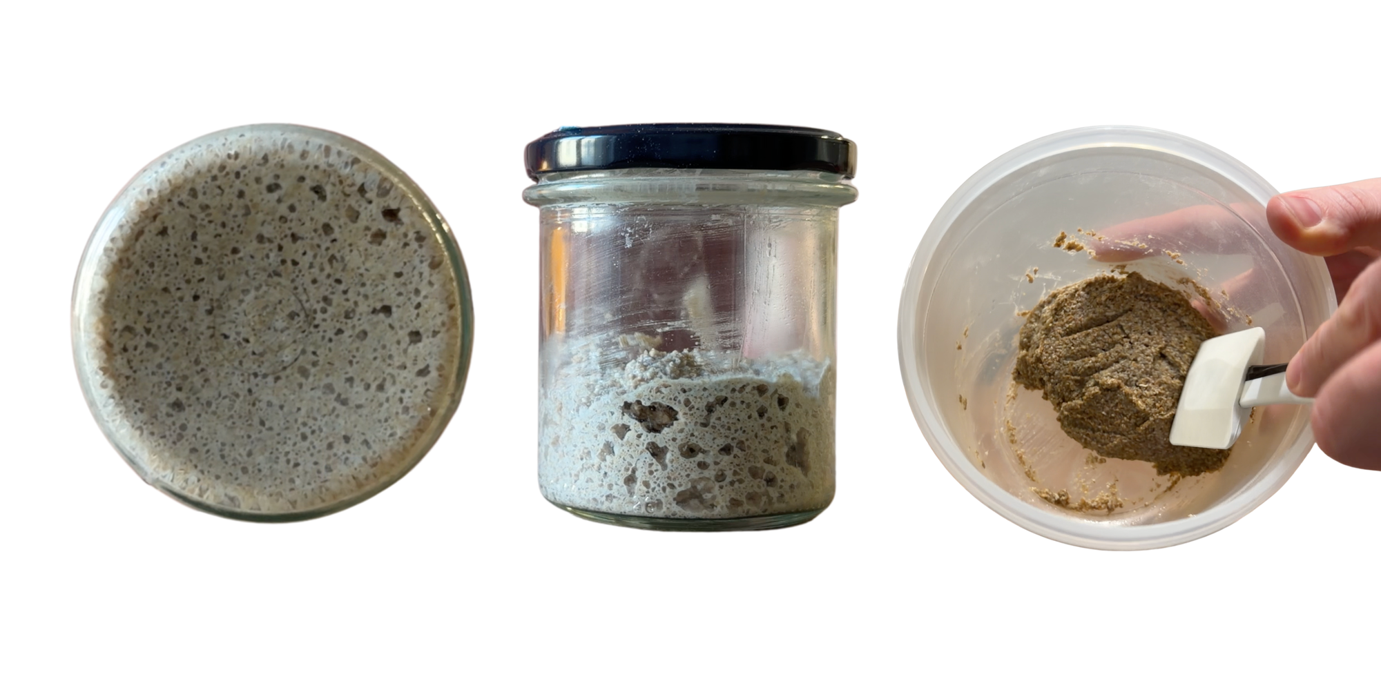 Jak zrobić zakwas - przepis i proces krok po kroku (wideo)